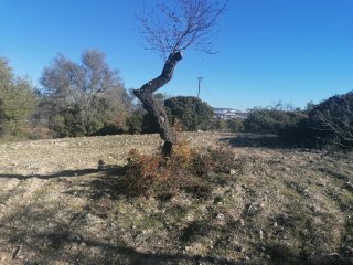 Terreno com excelente localização, optimos acessos