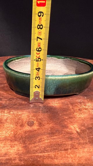 MACETA BONSAI TERAHATA SATOMI TOKONAME JAPONESA