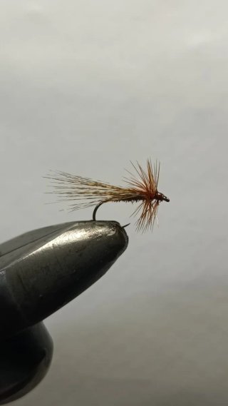 Moscas secas para la pesca de la trucha.