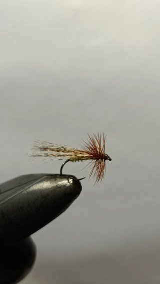 Moscas secas para la pesca de la trucha.