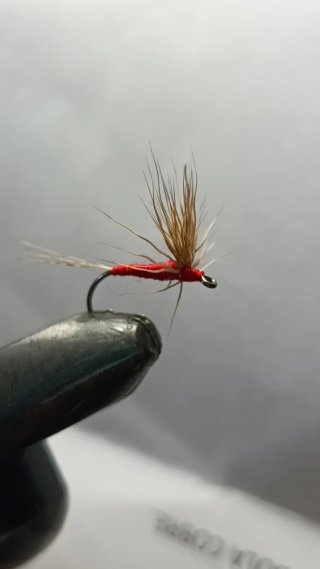 Moscas secas para la pesca de la trucha.