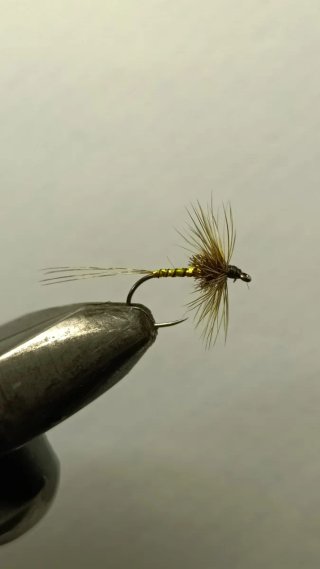 Moscas secas para la pesca de la trucha.