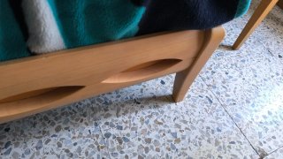Muebles en buen estado.