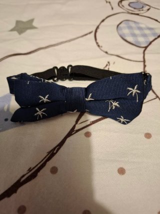 Pajarita azul con palmeras para niño