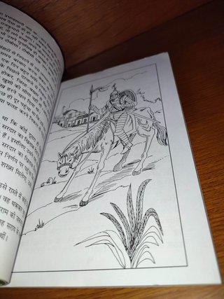 Extraño DON QUIJOTE en HINDI. CERVANTES. INDIA