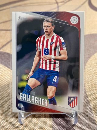 Conor Gallagher Atlético Madrid Champions League