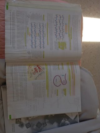 Biología, 2 bachillerato, Revuela Guía del prof...