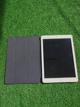 Apple iPad Air (2013) Argento