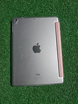 Apple iPad Air (2013) Argento