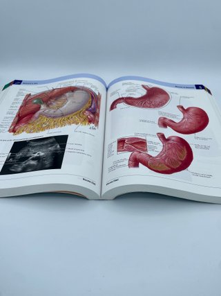 Atlas of Human Anatomy