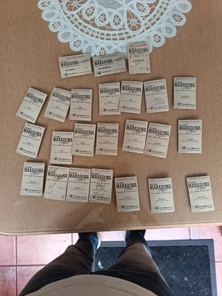 Lote 24 cromos fútbol vintage