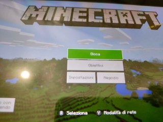 Minecraft Switch + Controllers