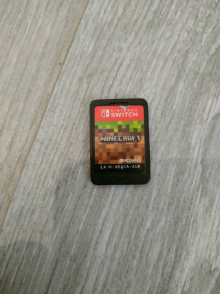 Minecraft Switch + Controllers