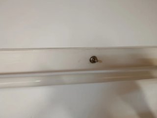 Pantalla de proyección con soporte