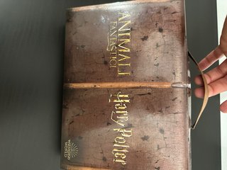 Wizzis Animali Fantastici & Harry Potter Set
