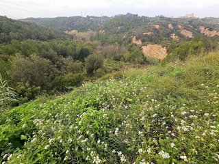 Terreno en venta en Castellbisbal