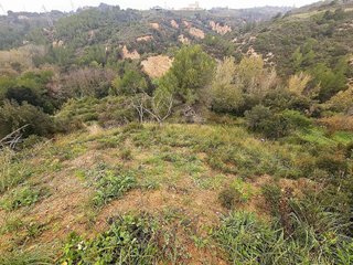 Terreno en venta en Castellbisbal