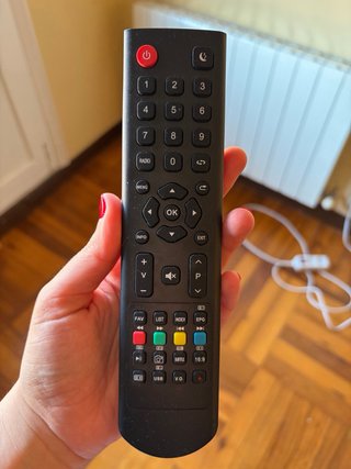 TD Systems TV 32 pulgadas