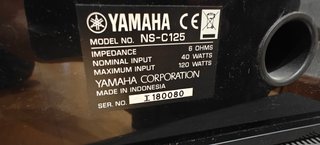 Home Cinema Yamaha RX-V461 Completo