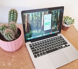 Apple MacBook Pro 13 2014 256GB 8GB RAM Portatile