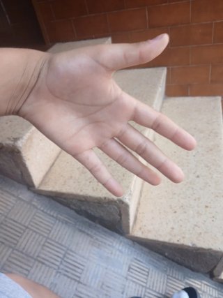 Mano abierta