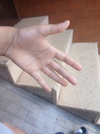 Mano abierta