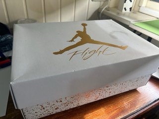 Jordan 4 Metallic Gold