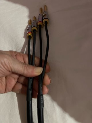 Cavo audio CLS/FTA con connettori banana