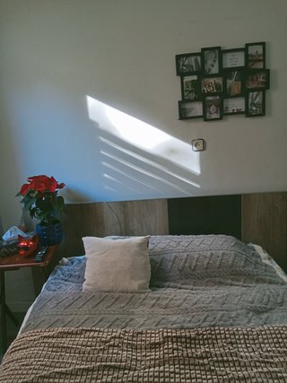 Alquiler habitación