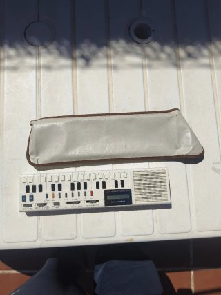 Órgano Casio VL-1 Tone 1979