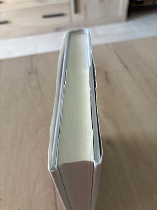El buen sirviente (Spanish Edition)