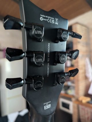 Guitarra Eléctrica LTD EC-256 Negra mate