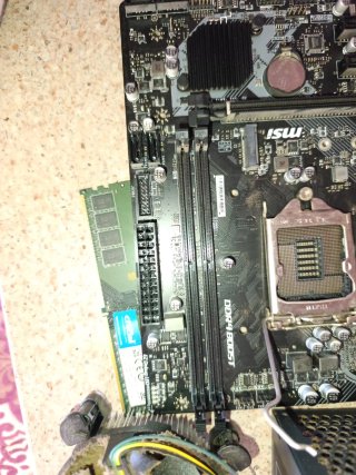 Disco Duro WD 500GB SATA WD5000AAKX