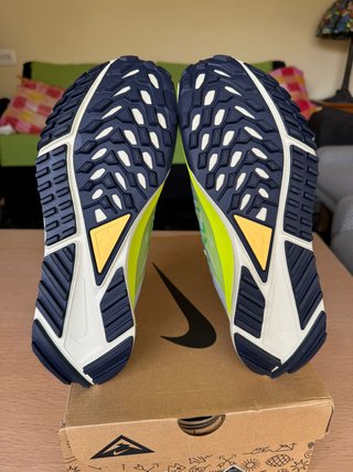 Zapatillas Nike Pegasus Trail 4 Gore-Tex