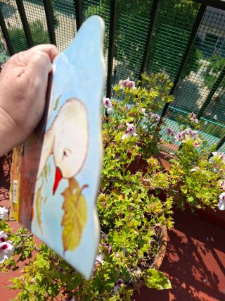 Llibre Infantil Troquelat L'Aneguet Lleig Nº 2