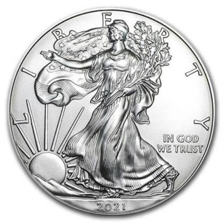 Moneda Plata Bullion Americana 2001