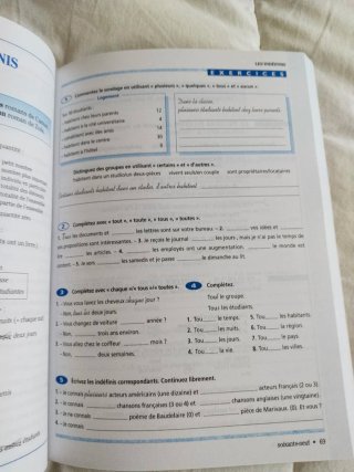 Grammaire progressive du francais 2007. Buch