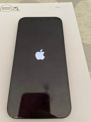 iPhone 12 Negro
