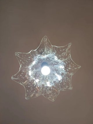 Lampadario floreale in vetro