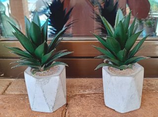 2 Cactus Artificiales en Maceta Geométrica