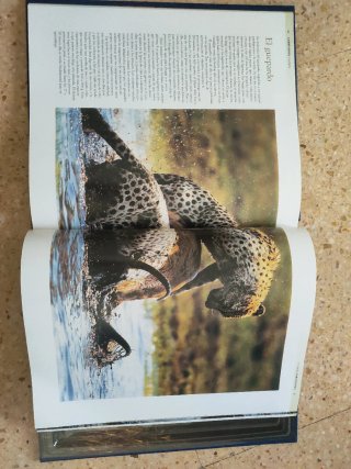 Nacional Geographic Enciclopedia de Animales