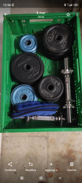 Set manubri ,pesi e cavigliere..