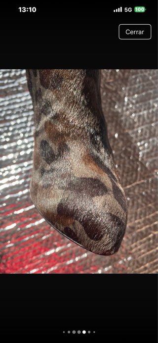 Botas altas tacón fino estampado
