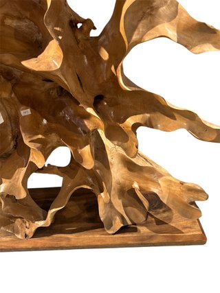 Raíz de teca para decoración