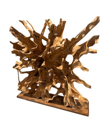Raíz de teca para decoración