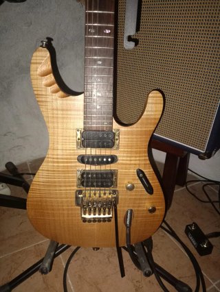 Guitarra Eléctrica Ibanez Egen 8