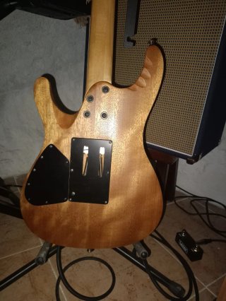 Guitarra Eléctrica Ibanez Egen 8
