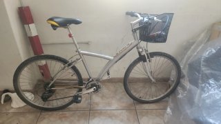 Bicicleta de montaña plateada con cesta