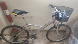 Bicicleta de montaña plateada con cesta
