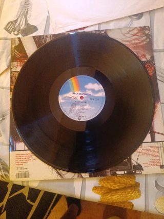 Vinilo Steel Heart Original